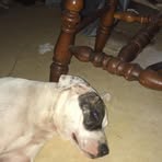 Joe Derossett - Facebook