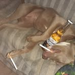 Joseph Derossett - Facebook