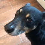 Joe DeVito - @joedevito581 - Instagram