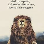 Giuseppe Joe Dibello - @joenwg - Instagram