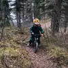 Joey Eldon - @joedice17 - TikTok