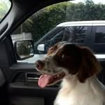 Joe Doan - @joe_doan - Instagram