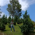 Sahata S Simbolon - @joe.doankx - Instagram