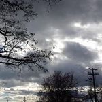 Joe Dokes - @joedokes333 - Instagram