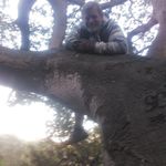 Joe Dokes - @mrjdokes - Instagram
