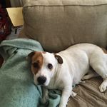 Joe Dokes - @winstonsmith68 - Instagram