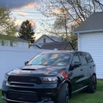 Joe Donato - @tallenuf6_ - Instagram