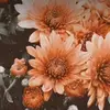 Vv - @joedow7384 - TikTok