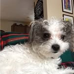 Joe Downs - @joemdowns - Instagram