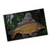 Joe Drury - Facebook