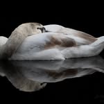 Joe Duff - @joeduffphoto - Instagram