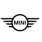 Joe Duffy MINI - @joeduffymini - Instagram