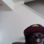 Joe Dunlap - @joe.dunlap.982 - Instagram