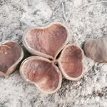 Joeebelle - @joeebelle1 - Instagram