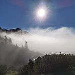 Joe Eckert - @joe.eckert.12 - Instagram