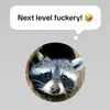 joeeckert4 - @joeeckert4 - TikTok