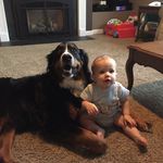 Joe Edelman - @edelmanempire - Instagram