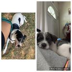 Joey Ramon-edenfield - @joeyramonedenfield - Instagram