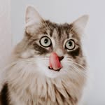 Joel Eichmann - @joel.eichmann - Instagram