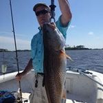 Joe Elkins - @elkins_joe - Instagram