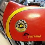 Joe Elkins - @elkins9302 - Instagram