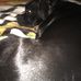 Joseph Elkins - Facebook