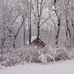 Joe Ender - Facebook