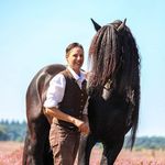 Joe Leenders - @joeleenders - Instagram