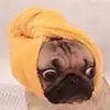JoeGender - @joegender - TikTok
