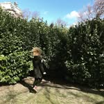 Joel Aeschbacher - @joel.aeschbacher - Instagram