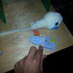 Joe Essary-Brisendine - @briz2000 - Instagram