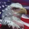 Joe BucFan Everhart - @joebucfaneverhart - TikTok