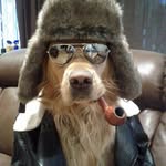Joe Eversole - @joeeversole1987 - Instagram