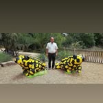 joefailla - @joefailla566 - Instagram