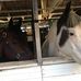 St Joe County Fair Grounds - Facebook