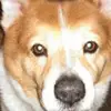 joefairless241 - @joefairless241 - TikTok