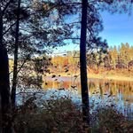 Joe Fee - @joe.fee.906 - Instagram
