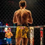 THE BUTCHER 🪓 - @joefieldsmma - Instagram