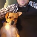 Joe Frankovich - @frankovichjoe - Instagram