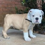 joe fred - @joefred531 - Instagram