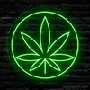user606545740453 - @joefunk20 - TikTok