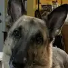 Joe Fuqua - @joe.fuqua3 - TikTok