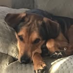 Joe Furrow - @joe_furrow - Instagram