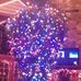 Joe Fuscaldo - Facebook