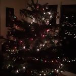 Joe Galvin - @joegalvin2006 - Instagram