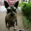 JOEGarces - @jostingarces4 - TikTok