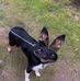 Joseph Geer - Facebook
