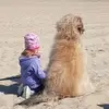 Joe Ingermany - @joeingermany - TikTok