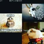 Joe Gibney - @charlesjgibney - Instagram