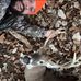 Joe Gilley - Facebook